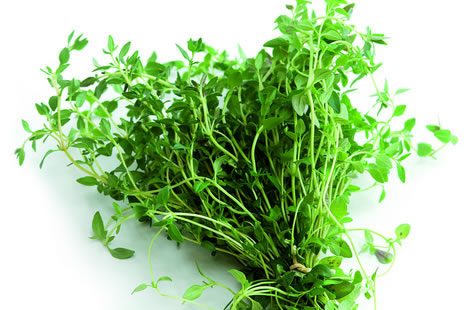 Leftovers thyme main2